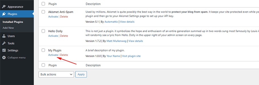 Test and debug your plugin