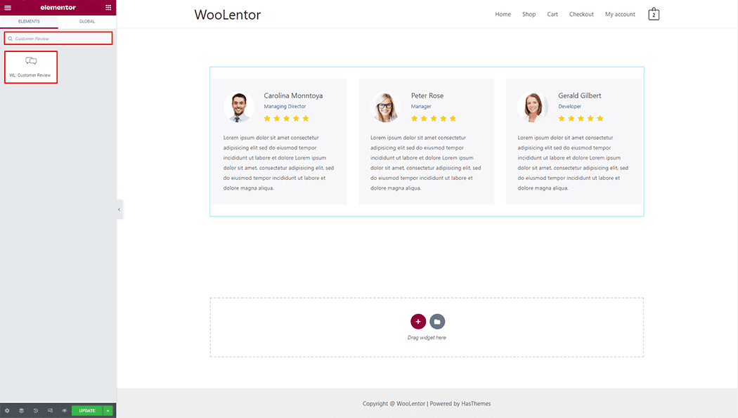 WooLentor Customer Review Widget