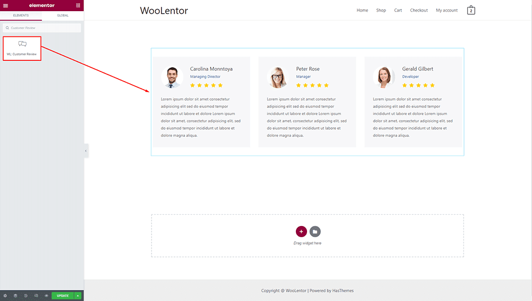 WooLentor Customer Review Widget